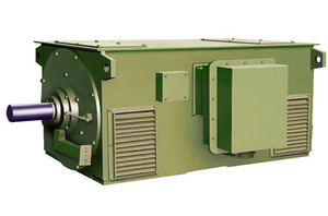 Y系列高壓電機(jī),6kV/10kV高壓電機(jī),高壓電動(dòng)機(jī)